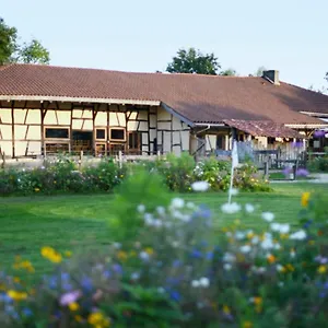 Domaine Des Brouilles Malafretaz